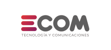 Logo ECOM